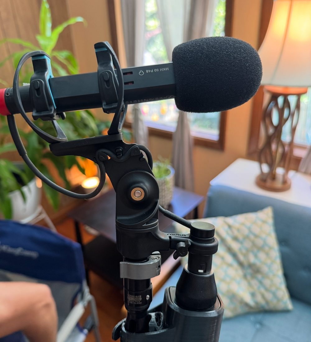 Sennheiser MKH 50 shotgun microphone in shock mount on a boom pole